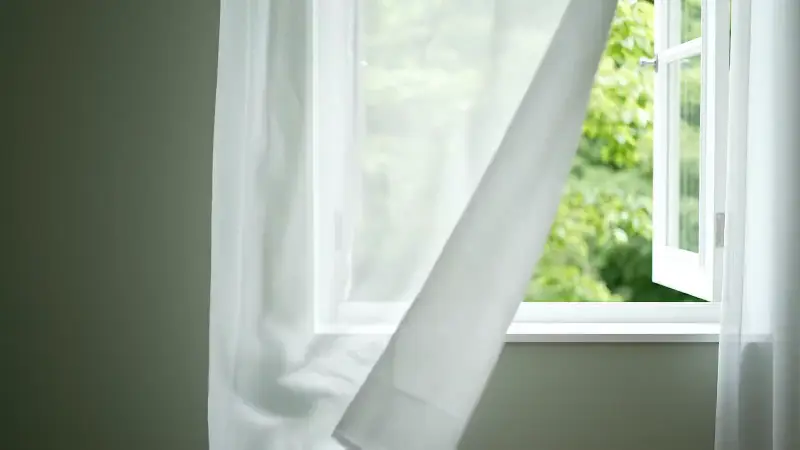 Standbild aus dem Video „Wissen“