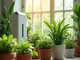 hepa-filter-grow-warum-luftreiniger-beim-indoor-gaertnern-sinnvoll-sind