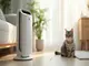 luftreiniger-mit-hepa-filter-gegen-katzenhaare-so-bleiben-ihre-raeume-allergikerfreundlich